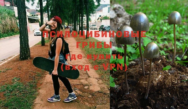 стаф Алексин