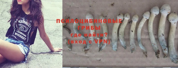 стаф Алексин